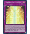 Canopic Protector