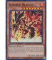 Burning Dragon