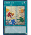 Fossil Dig (SR)