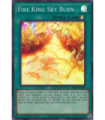 Fire King Sky Burn