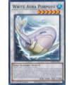 White Aura Porpoise