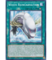 White Reincarnation