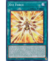 Xyz Force