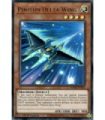 Photon Delta Wing