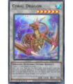 Coral Dragon