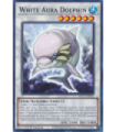 White Aura Dolphin