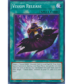 Vision Release