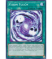 Vision Fusion