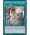 Specimen Inspection