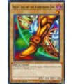 Right Leg of the Forbidden One