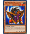 Big Shield Gardna