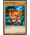 Baby Dragon