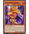 Valkyrian Knight