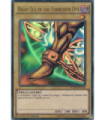 Right Leg of the Forbidden One