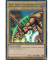 Right Arm of the Forbidden One