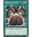 Brain Control