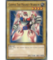 Gamma The Magnet Warrior