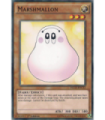 Marshmallon