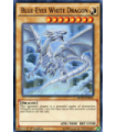 Blue-Eyes White Dragon