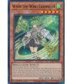 Wynn the Wind Channeler (UR)