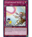 Lightsworn Aegis