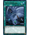 Twin Twisters