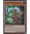 Amazoness Princess