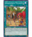 Amazoness Village