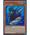 Citadel Whale