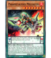 Parametalfoes Melcaster