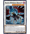 Black-Winged Dragon