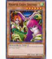 Harpie Lady Sisters