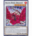 Black Rose Dragon