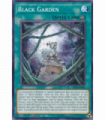 Black Garden