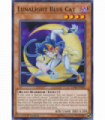 Lunalight Blue Cat