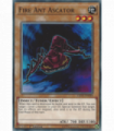 Fire Ant Ascator