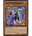 Trickstar Mandrake