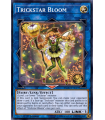 Trickstar Bloom