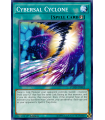 Cybersal Cyclone