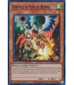 Droll & Lock Bird (SR)