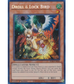 Droll & Lock Bird (SCR)