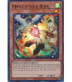 Droll & Lock Bird (AA) (SR)