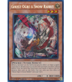 Ghost Ogre & Snow Rabbit (AA) (SCR)