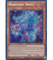 Magicians' Souls (SCR)