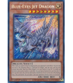 Blue-Eyes Jet Dragon (SCR)