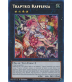 Traptrix Rafflesia (SCR)