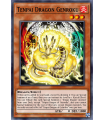 Tenpai Dragon Genroku