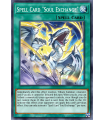 Spell Card "Soul Exchange"