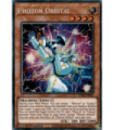 Photon Orbital