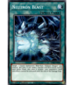 Neutron Blast